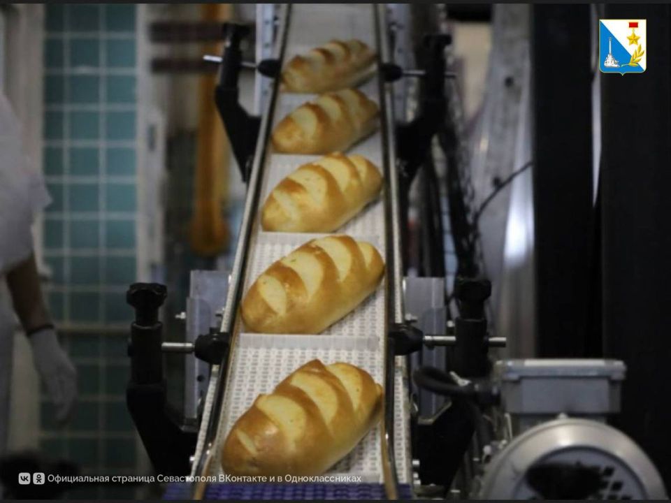 Стартует прием заявок на субсидии для пищевых предприятий