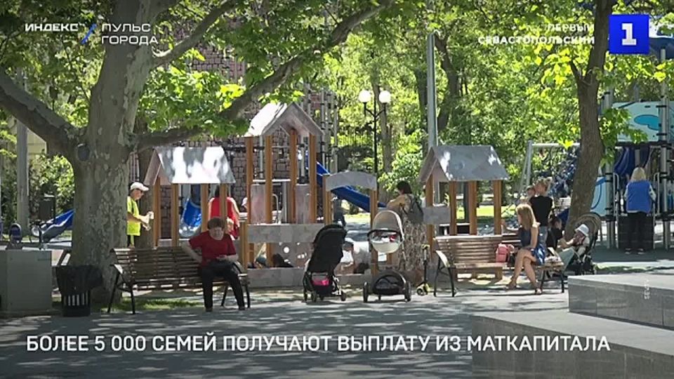 В Севастополе более 5 тыс. семей получают ежемесячное пособие на детей до трёх лет