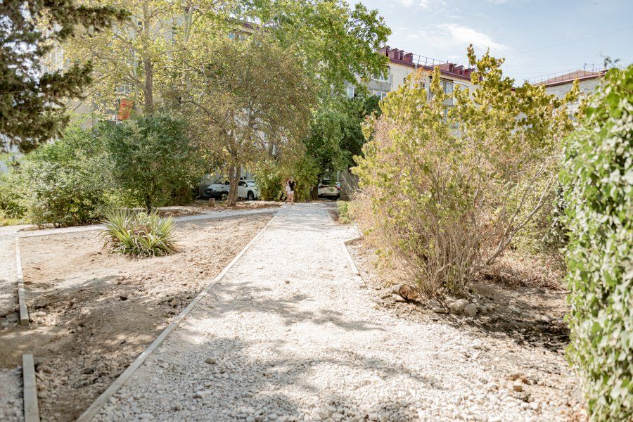 ����� �������� �� ����� ������� ������ �� 50%