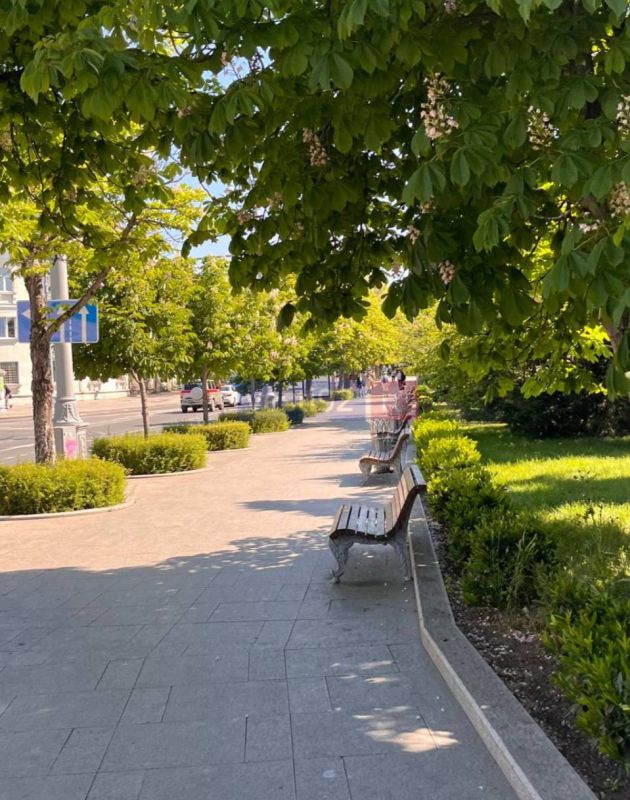 Старт новой рабочей недели!