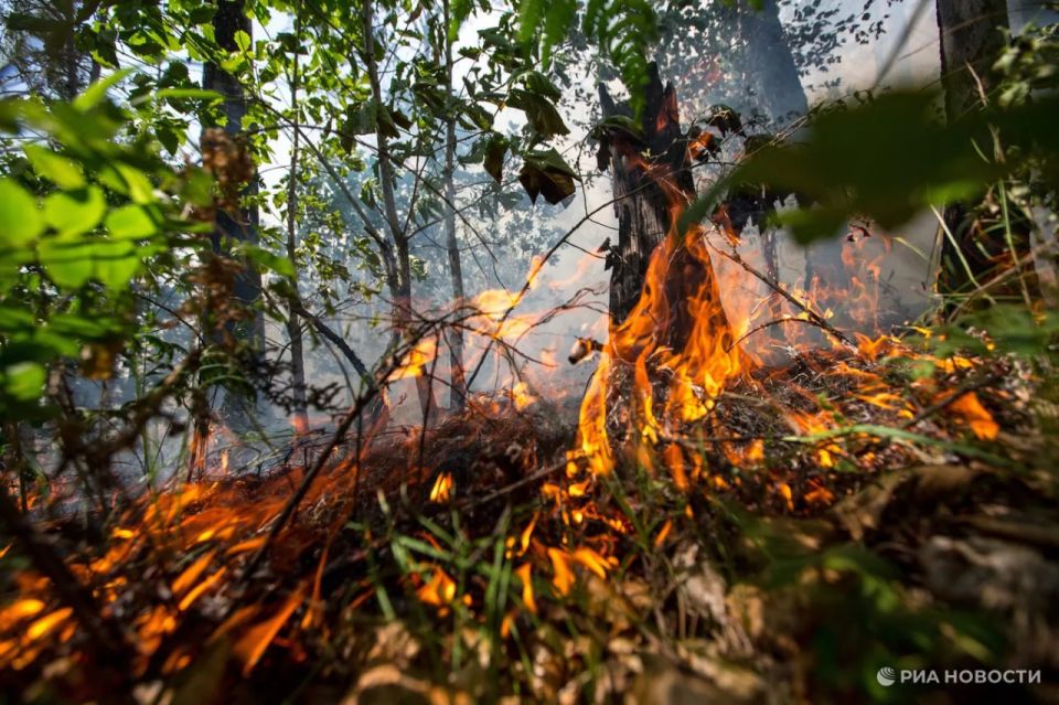 В Крыму и Севастополе до 23 августа сохранится чрезвычайная пожарная опасность