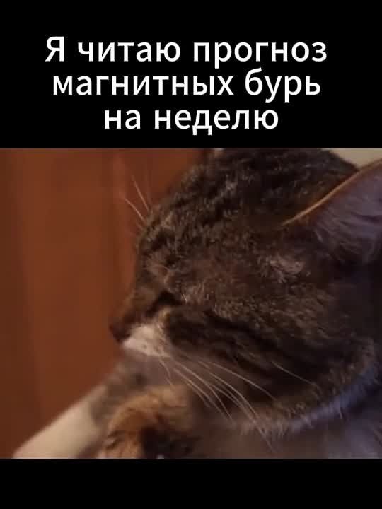 Магнитные бури с 18 по 24 августа 2025 года: во вторник будьте готовы