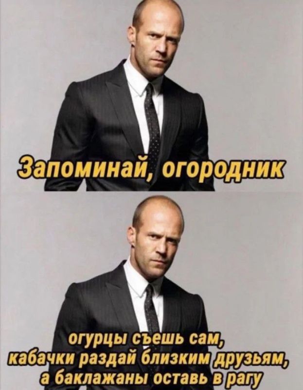 Лазанья, закуска, спагетти и пирог: необычные рецепты из кабачков, цуккини и баклажанов