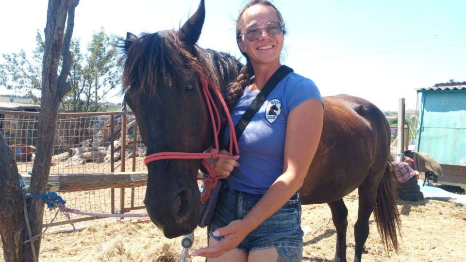 Оседлав мечту: работа с лошадьми может включать целых восемь специальностей