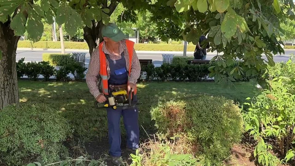 Специалисты «Парков и скверов» работают на клумбах площади Ушакова