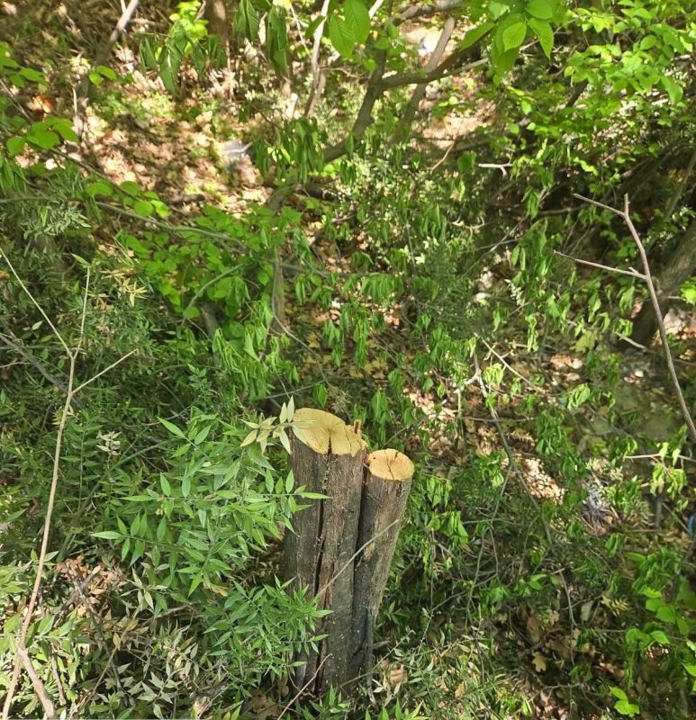 ��������� ������ ������ ����� 2,5 �������� ������ ���������� ���������� ����� ����