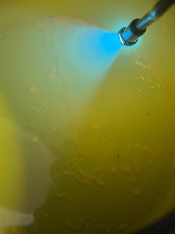 #���_�����. ��������� ForPost, ��������� � ��� � ������� ����� ������ ��������������, ������������� � �������� ���������