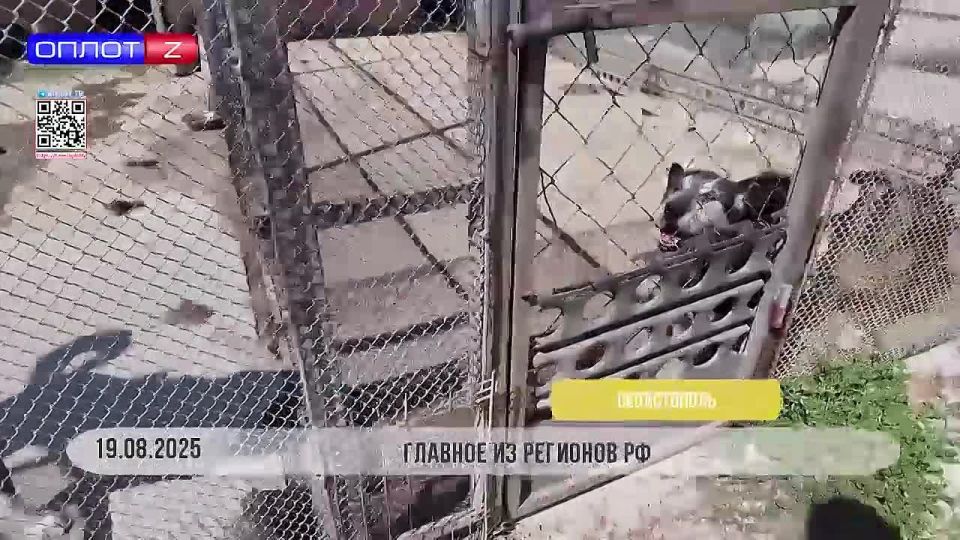 ������� �� �������� ��. ������ ����� ����� ����� ���������� ��� ������� ����� ��������� ���������� �����������