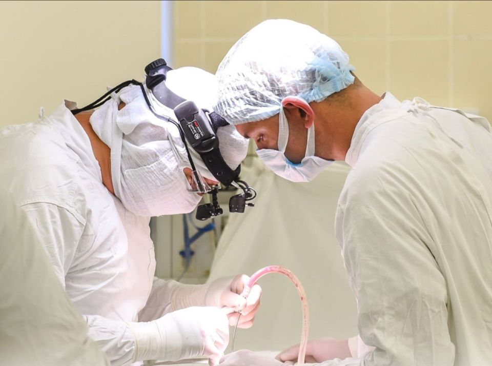 Решить жилищный вопрос: Севастополь поможет переехать востребованным специалистам