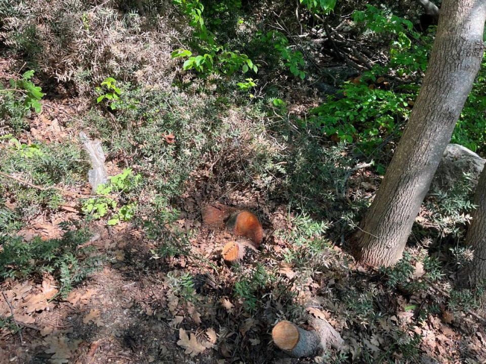 ����������� ��������� ��������� ���� ��-�� ���������� ������� �������� � ��������� ������