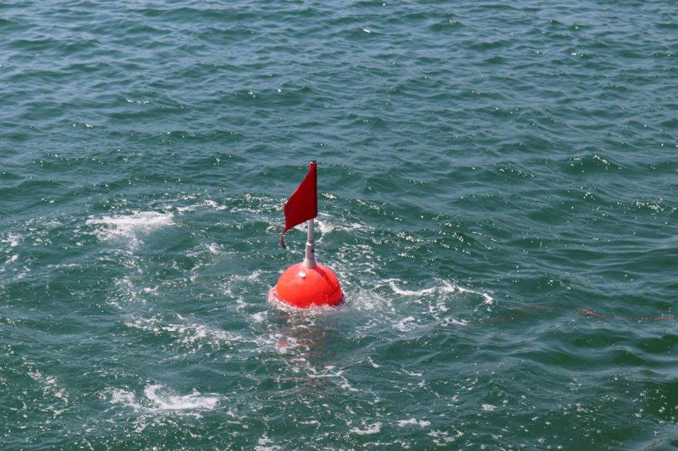 ������������� ���������� ����� ������ ������������ ������ � �����