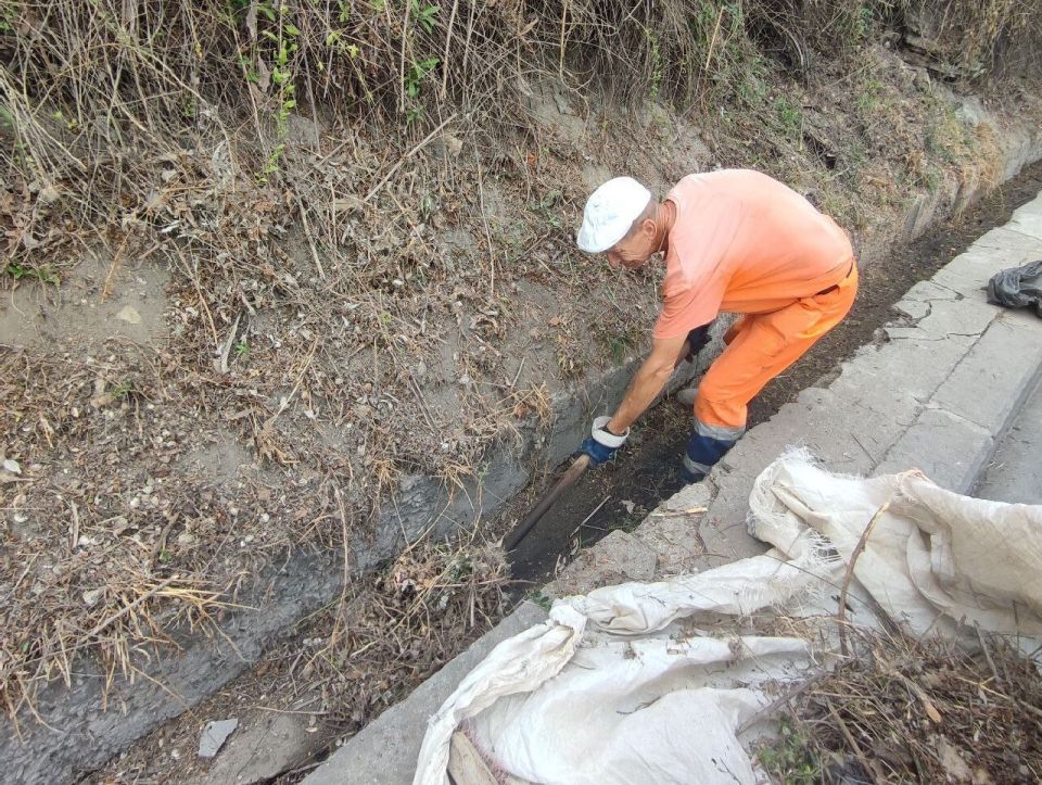 ���������: ������� �������. ���������� ������