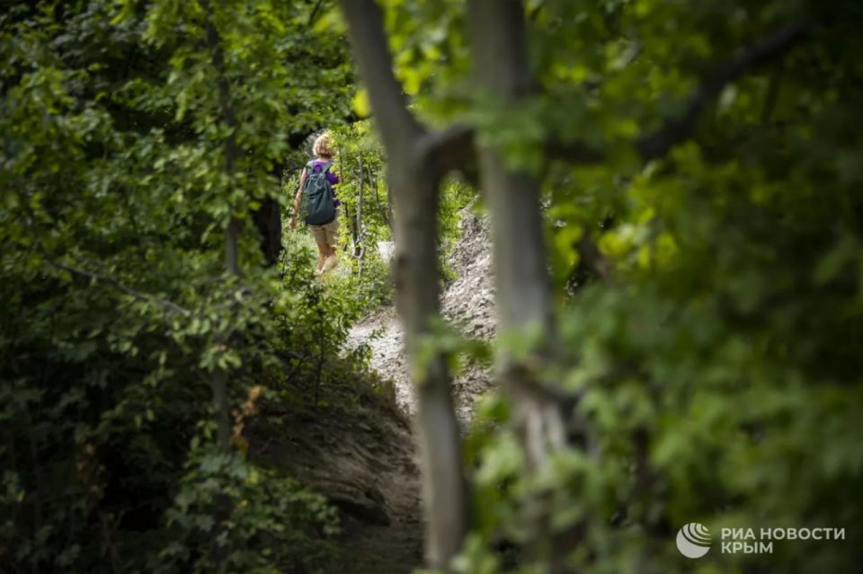 ������ ��������������� ����� ������� � ����������� �� 10 ��������