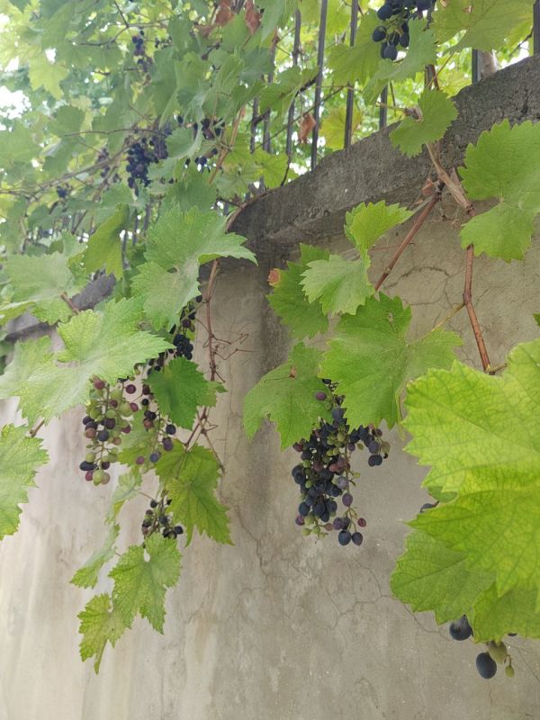 С добрым утром, друзья!. В Севастополе без осадков