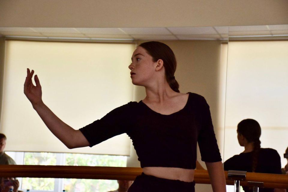 В профессиональный художественный колледж поданы 950 заявлений