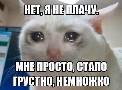 В Севастополе 57-летняя местная жительница на протяжении двух лет перечисляла мошенникам деньги, лишившись в итоге более 32 миллионов рублей