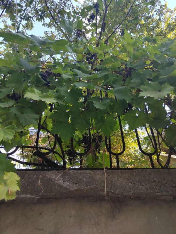 � ������ �����, ������!. � ����������� ��� �������