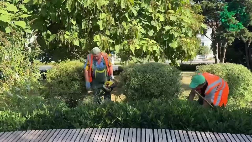 Озеленители «Парков и скверов» бережно ухаживают за городскими клумбами