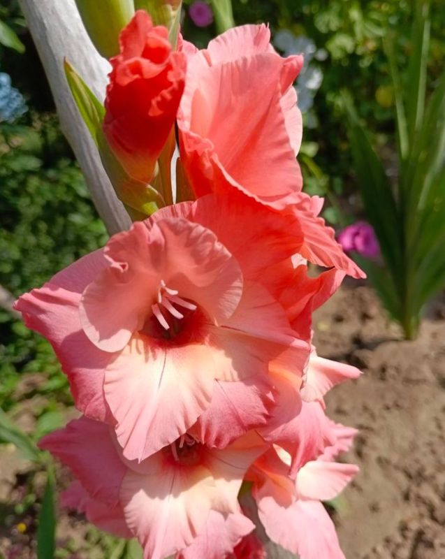 С добрым утром, Севастополь!