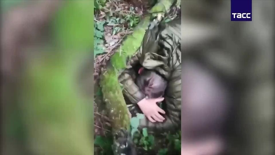 Среди задержанных в Брянской области украинских диверсантов оказался командир ДРГ – ФСБ