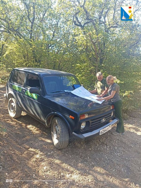 �� ������ �������. ��������������� ���������� ���������������� ����������� ����������� ���� ��� �������������� ���������, ������� ������