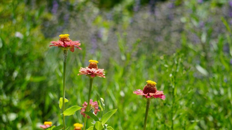 Прогноз погоды в Крыму на 20 августа