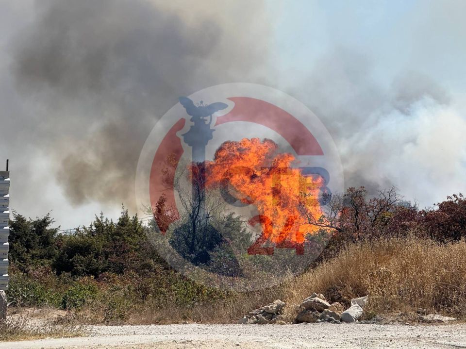 ��� ����� ����� � ������ ���������� �����