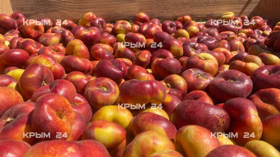 � ����� �������� ������ ���������