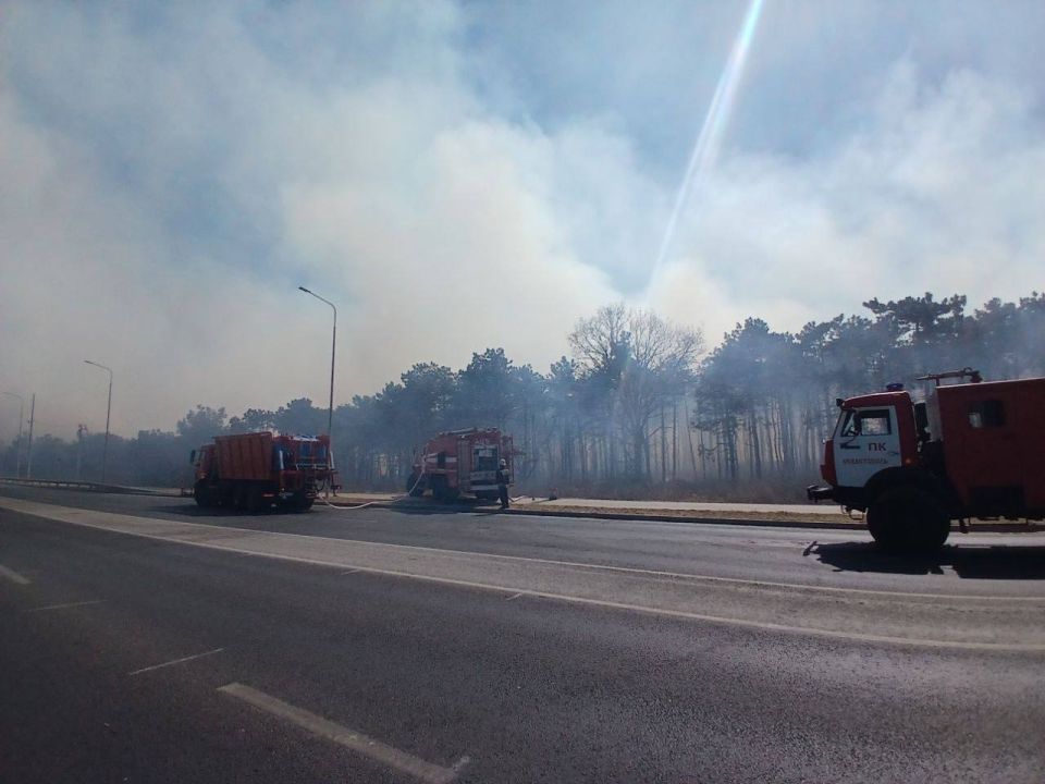 ����� �������� �����, ������������� ������� ���, ����� �������� �������� �����