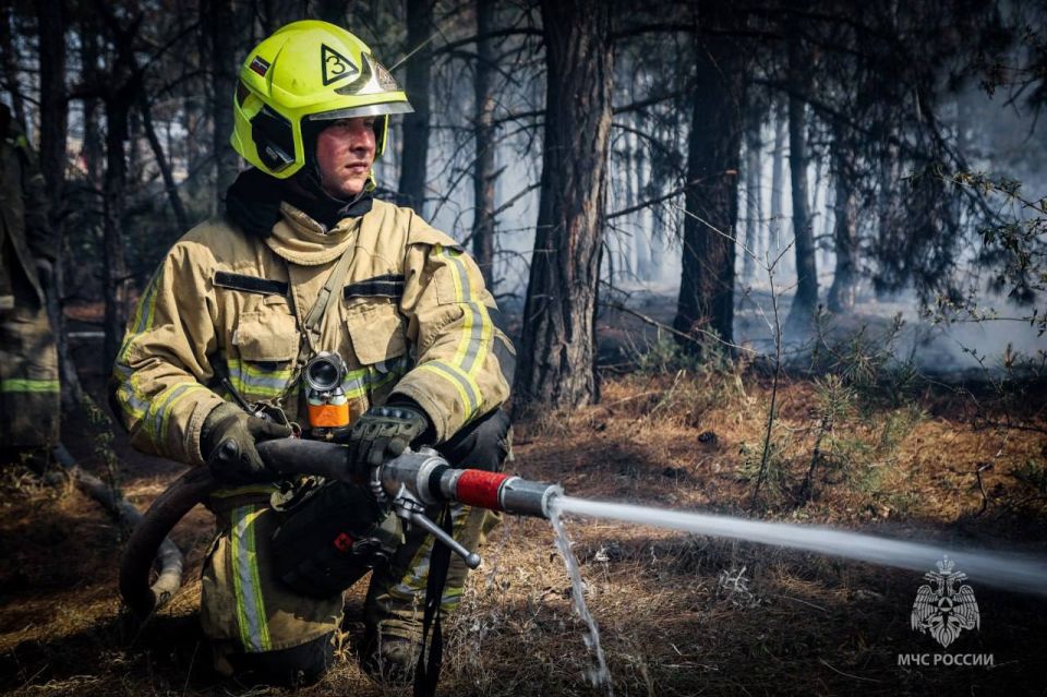 ����� �� ��������� ����� ��������