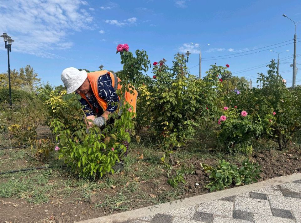 � ������ �� ��������� ����������� ���������, 8 ���������� ��� "����� � ������" �������� �������� �������� ��������� ���