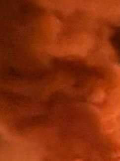 ��������� ����� ������� �����������, � ������ ������������� ����������, �������� ������� ������