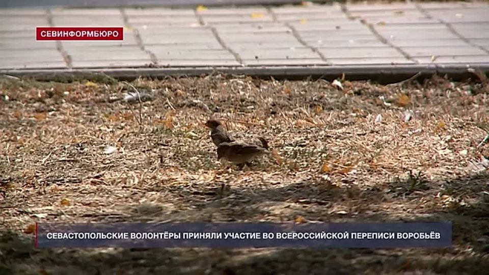 ��������������� �������� ������� ������� �� ������������� �������� ��������