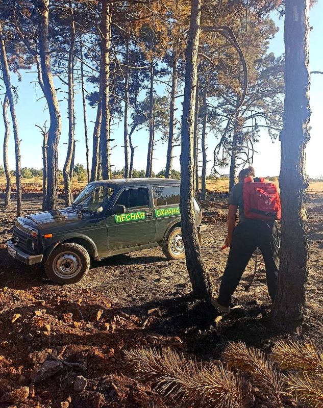 ������ �������� ����������� ������������� ��������������� ����!