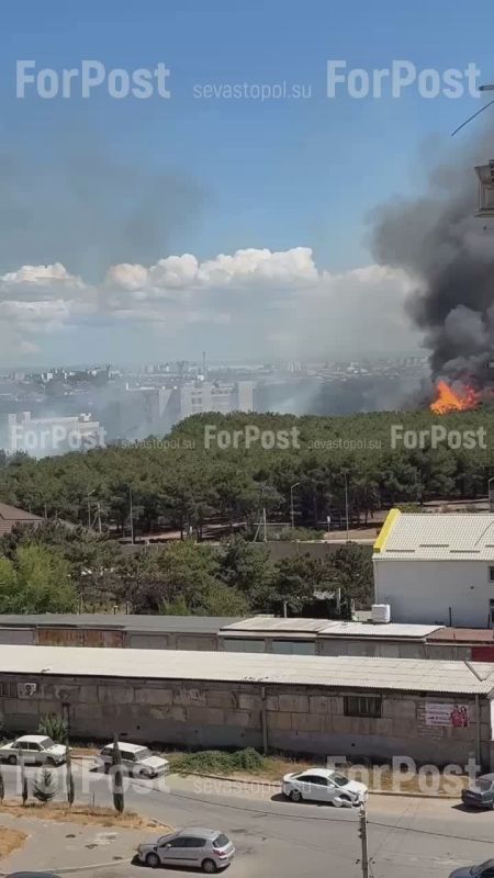 ����� � ������ ���������� �����