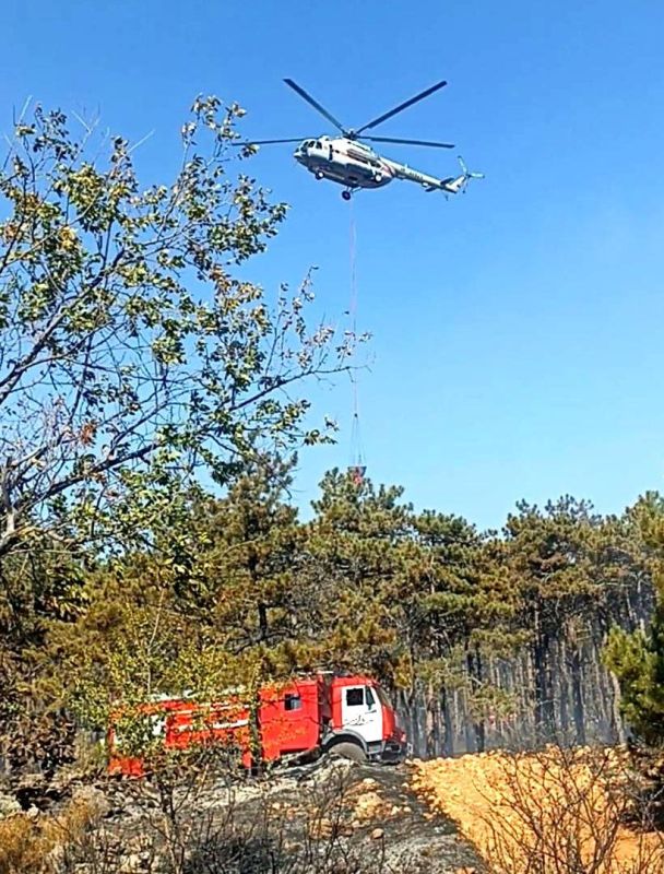 ������ �������� ����������� ������������� ��������������� ����!