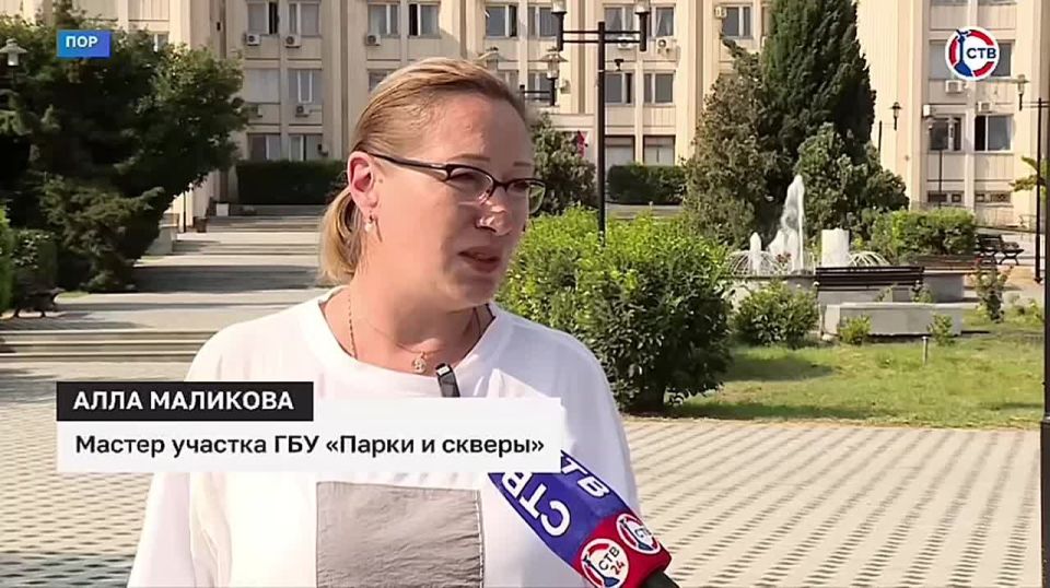 Озеленители провели обрезку 500 кустов роз в сквере на проспекте Октябрьской революции