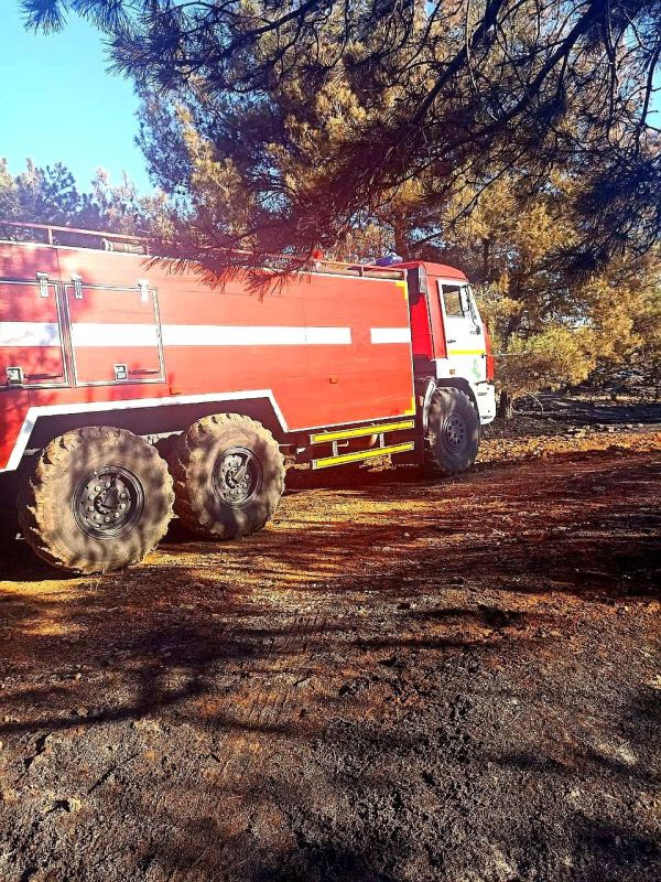 ������ �������� ����������� ������������� ��������������� ����!