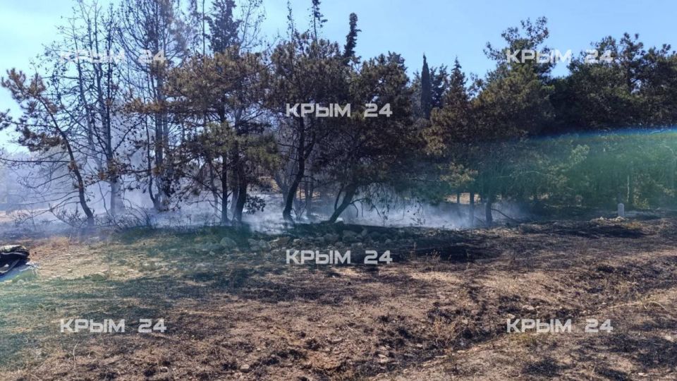 ����� ����� ����� � ������ ���������� ����� � �����������