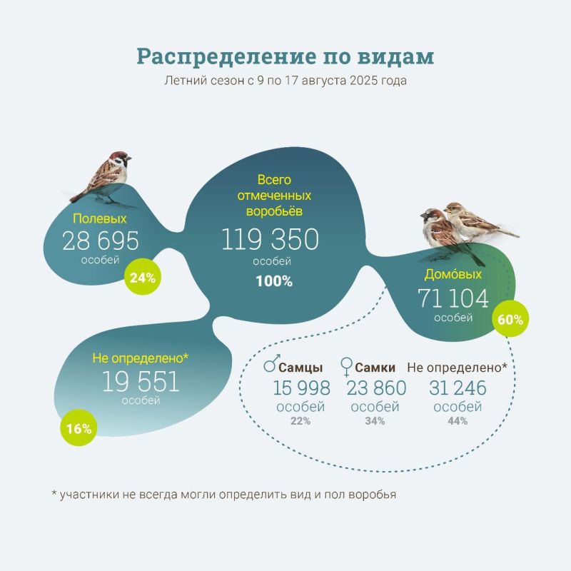 ����� ������� ������ ������������� �������� �������� 2025!