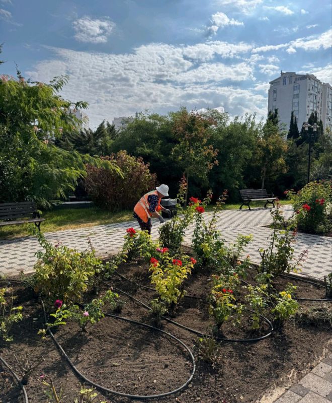 � ������ �� ��������� ����������� ���������, 8 ���������� ��� "����� � ������" �������� �������� �������� ��������� ���