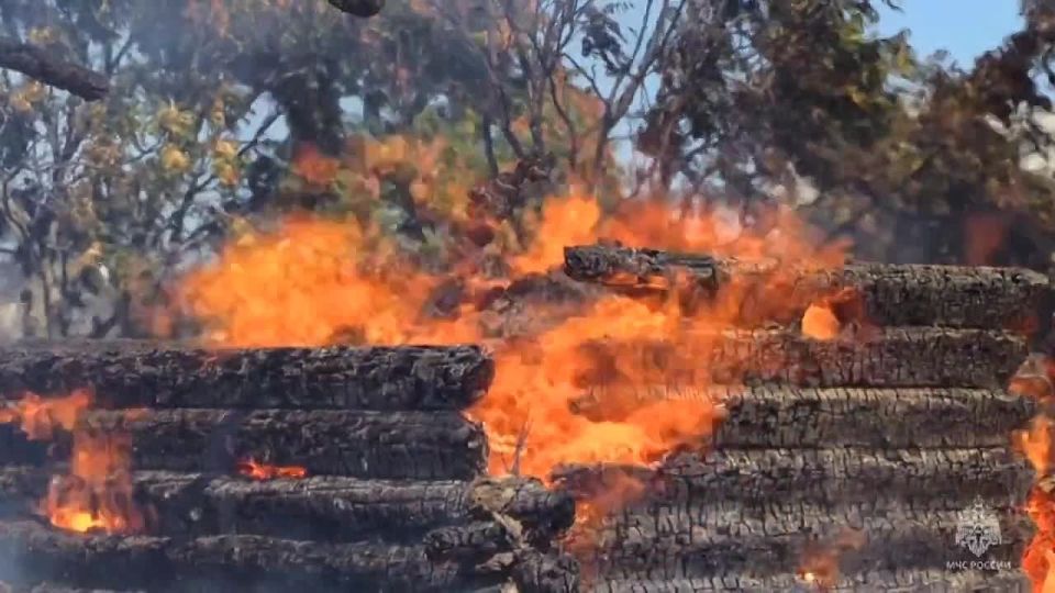 ����� ������� ������ �� ��������� ����� �� ��� �����������