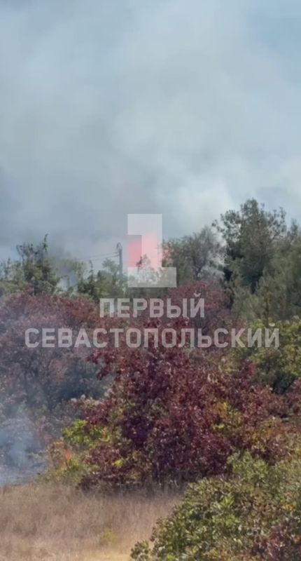 � ������ �������������� ����� � �����