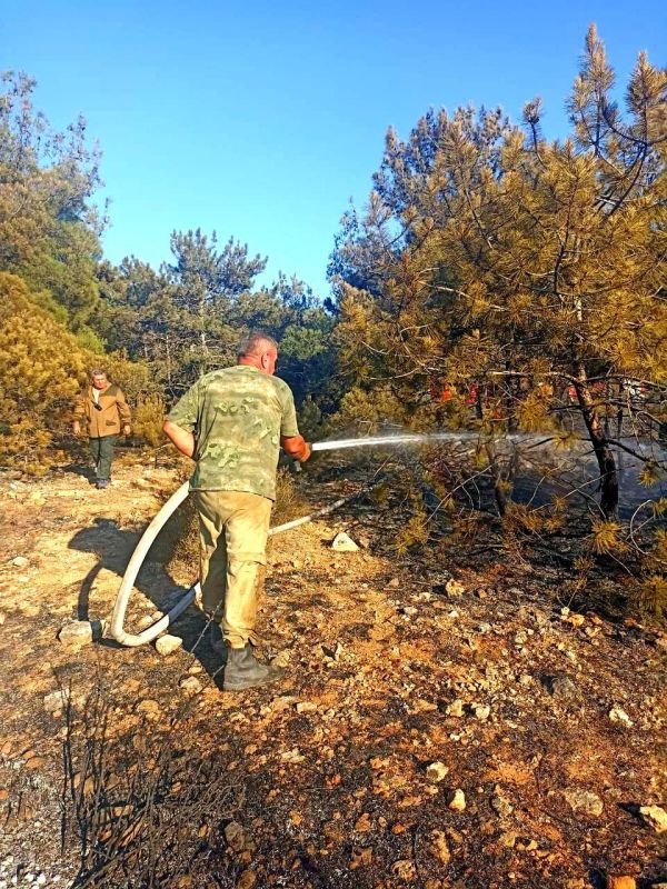 ������ �������� ����������� ������������� ��������������� ����!