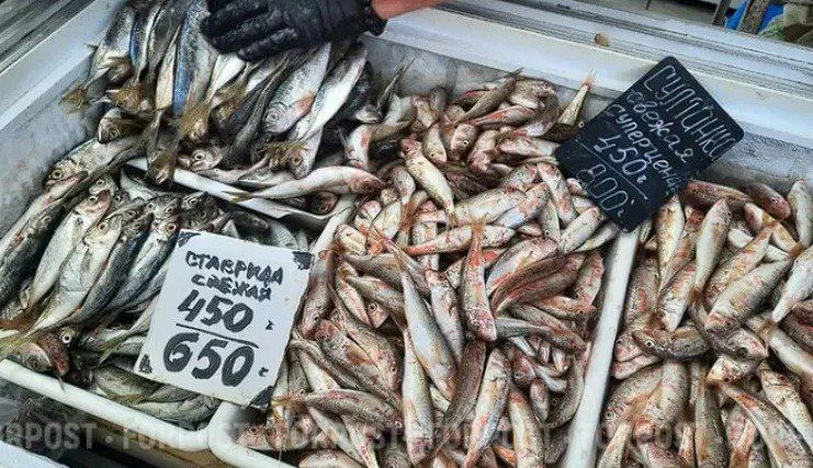 �������������� ������� ����� "������ ����"