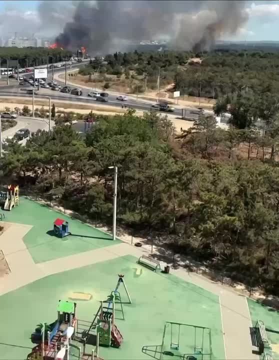 � ����������� ������ ����� �������� �� ��������� �����