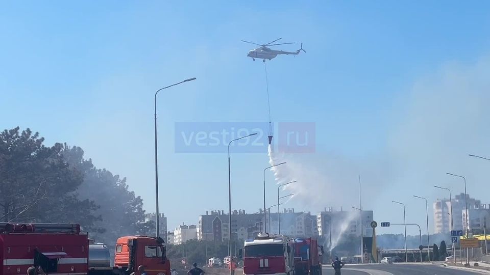 ������ ����� ������ � � �������