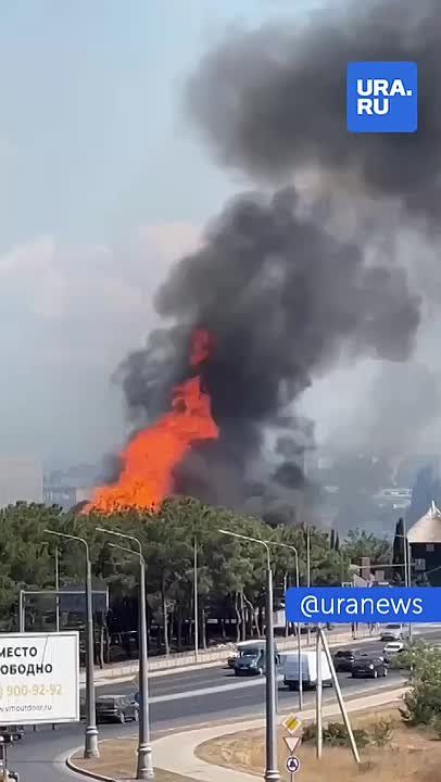 ������� ����� � �����������: ����� ������ ��������� � �����