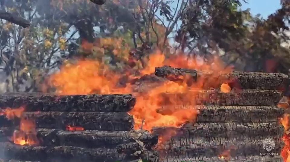 МЧС Севастополя показало кадры тушения пожара на Камышовом шоссе
