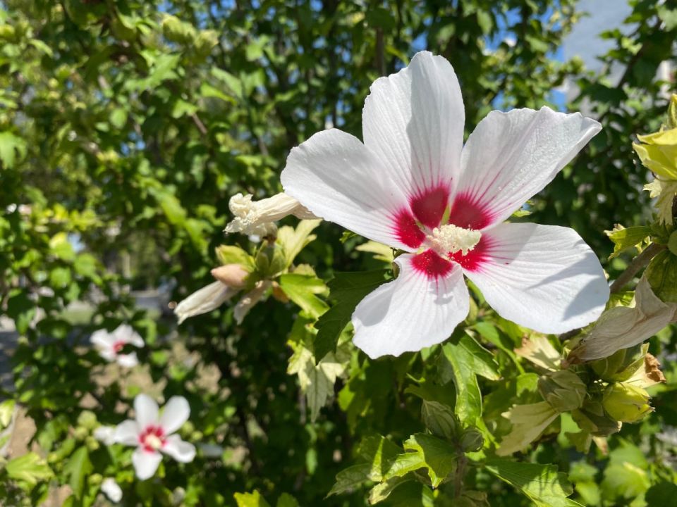 ������� ������ � ����� �� 21 �������